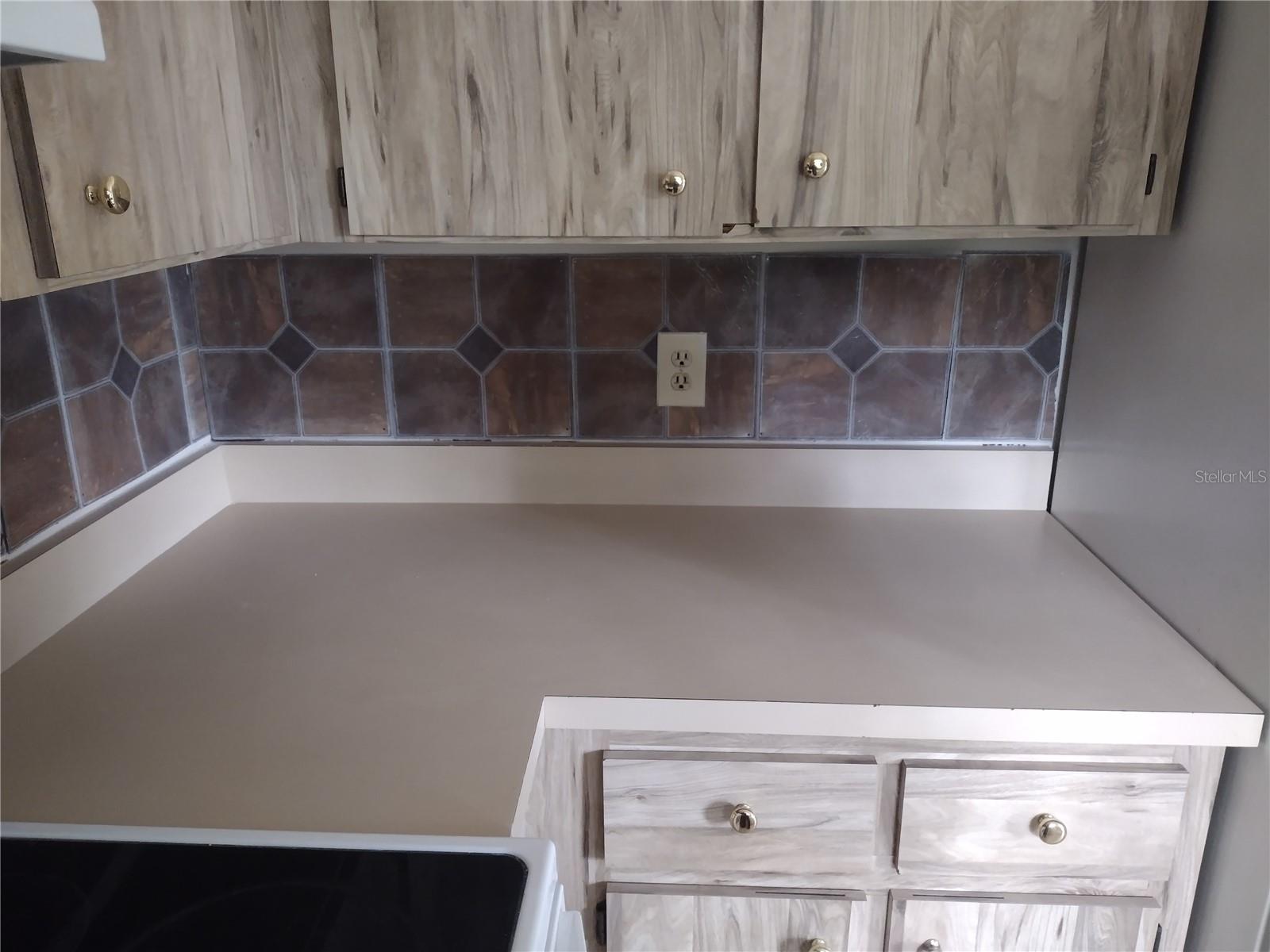 Kitchen Cabinets + Countertop + Walls