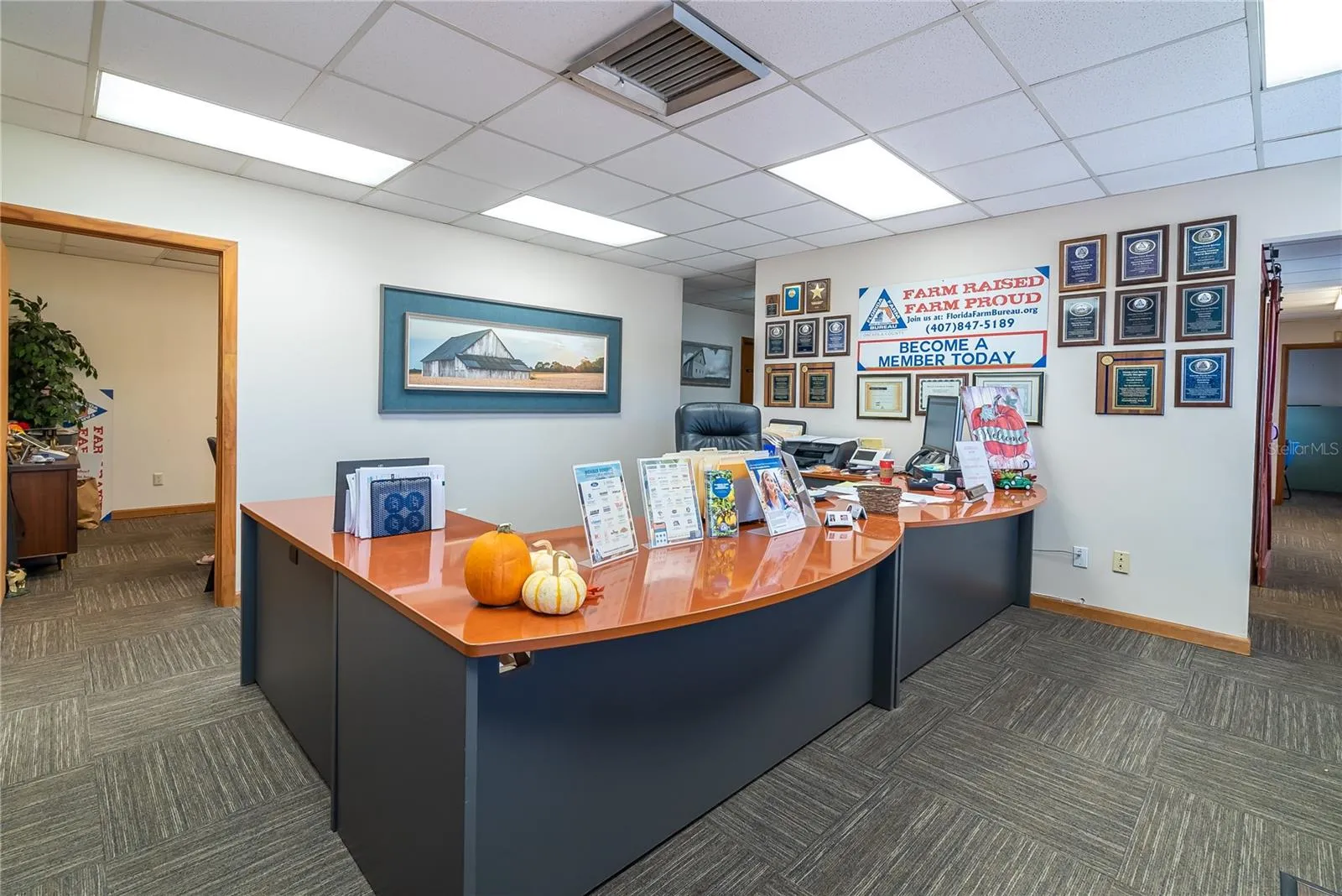Kissimmee, Florida 34744, 0 , 0 ,0,Commercial Sale,For Sale,IRLO BRONSON MEMORIAL,0,S5076241