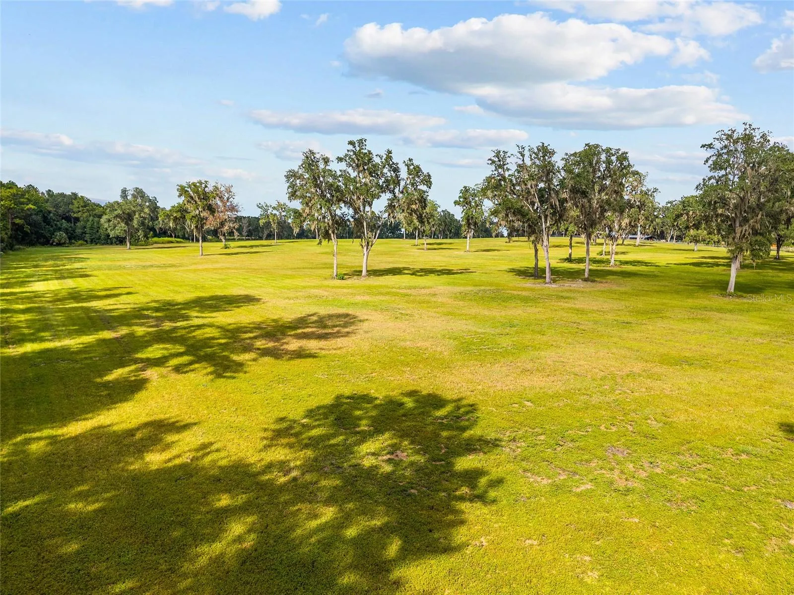 Reddick, Florida 32686, 0 , 0 ,0,Land,For Sale,316,0,OM648080