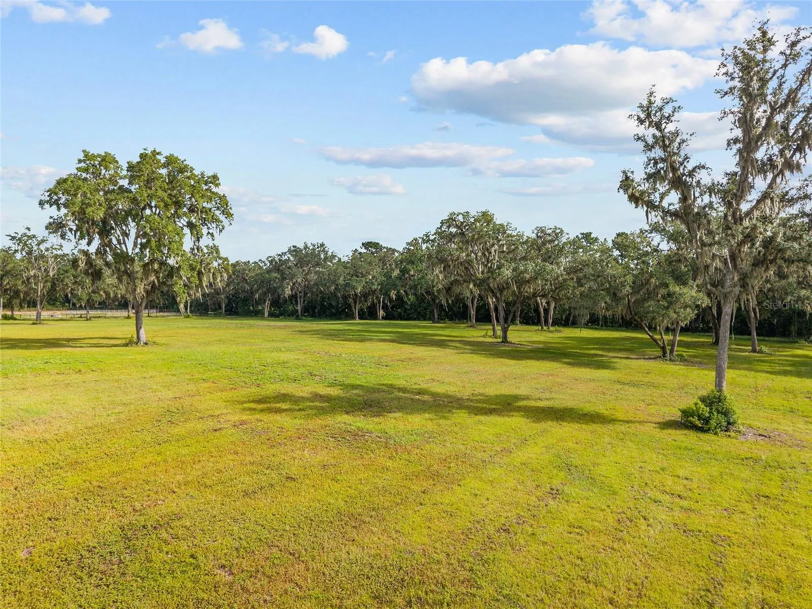 Reddick, Florida 32686, 0 , 0 ,0,Land,For Sale,316,0,OM648080