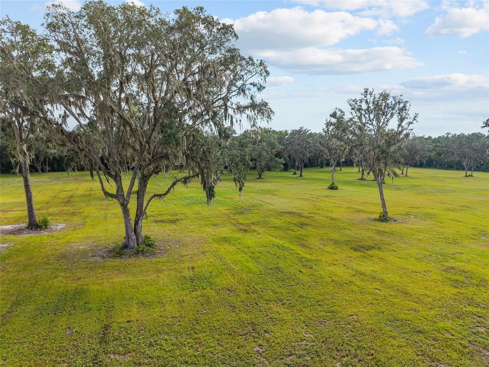 Reddick, Florida 32686, 0 , 0 ,0,Land,For Sale,316,0,OM648080