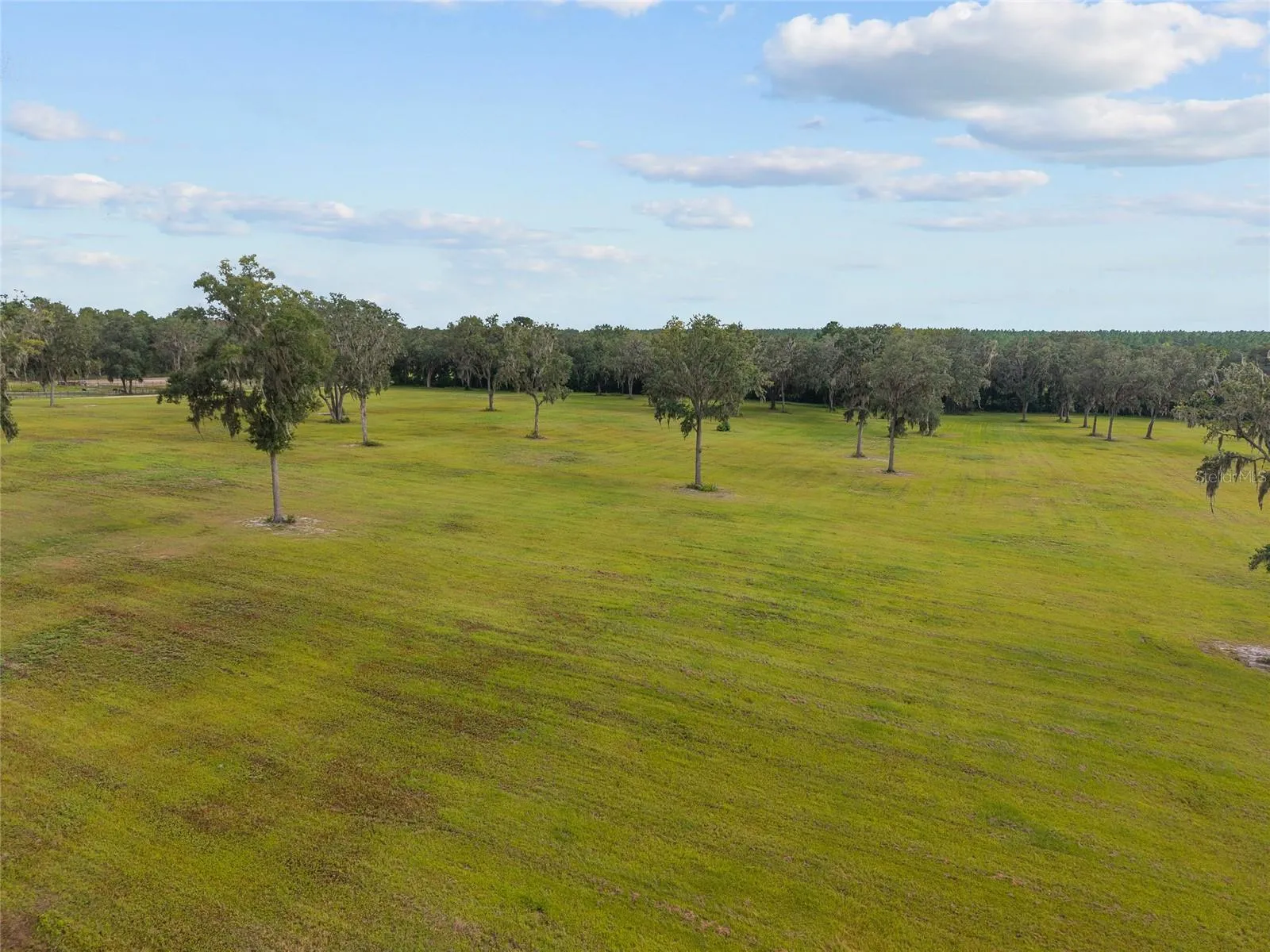 Reddick, Florida 32686, 0 , 0 ,0,Land,For Sale,316,0,OM648080