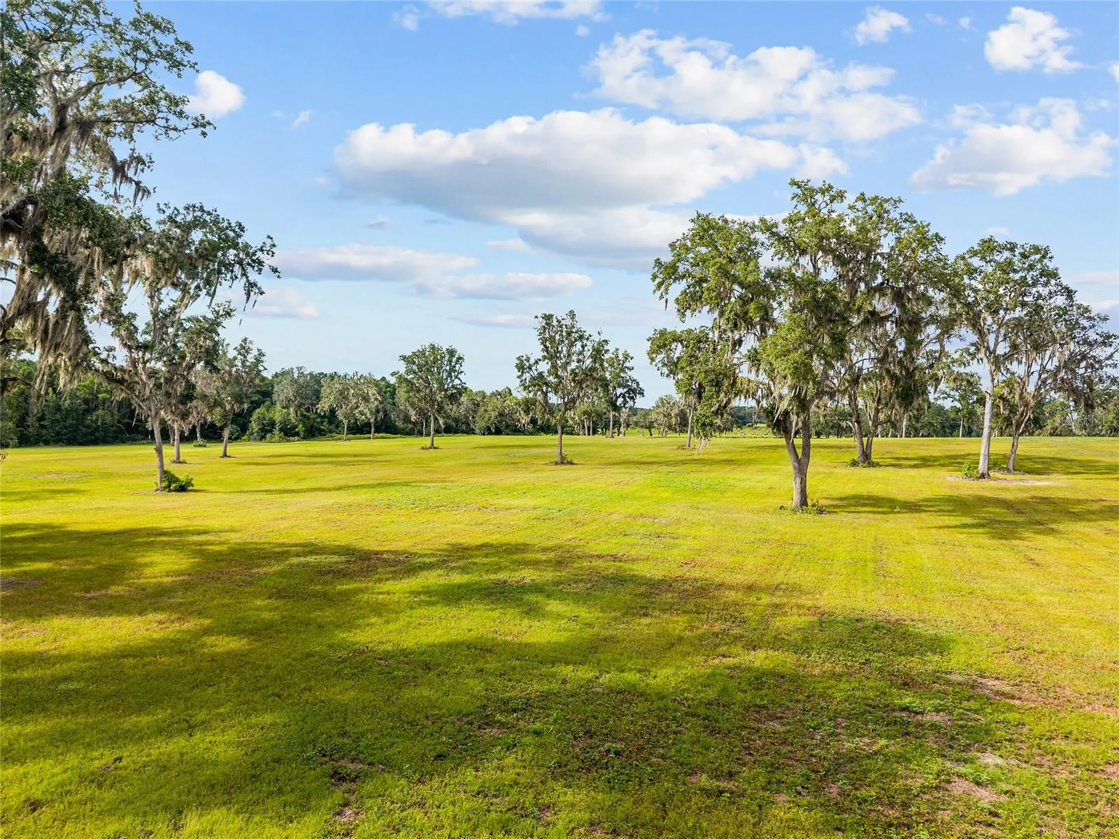 Reddick, Florida 32686, 0 , 0 ,0,Land,For Sale,316,0,OM648080
