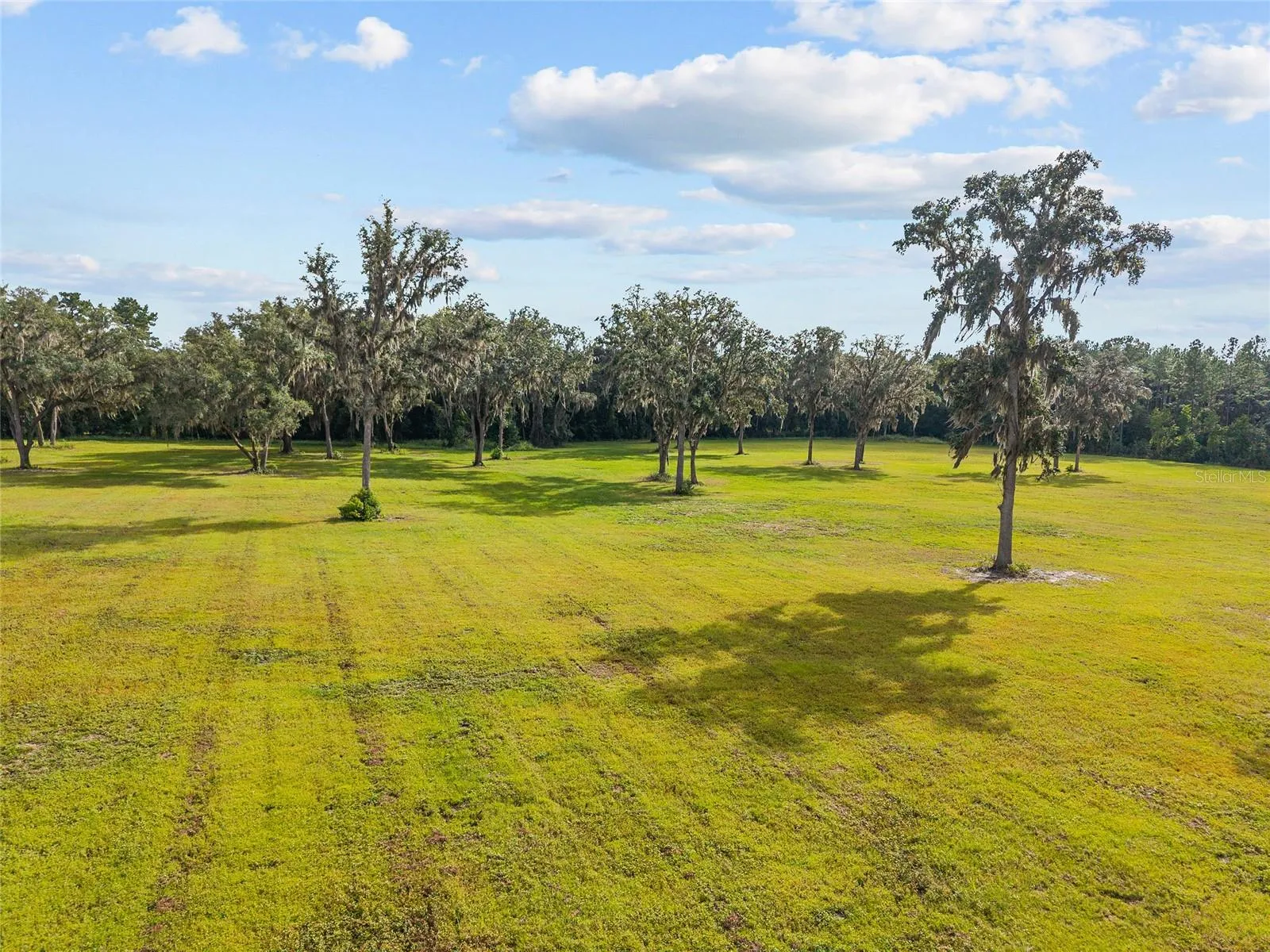 Reddick, Florida 32686, 0 , 0 ,0,Land,For Sale,316,0,OM648080