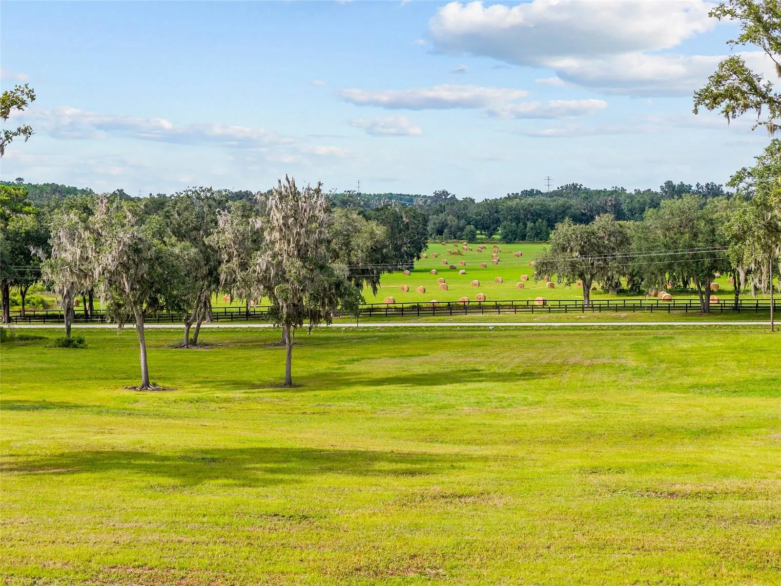 Reddick, Florida 32686, 0 , 0 ,0,Land,For Sale,316,0,OM648080