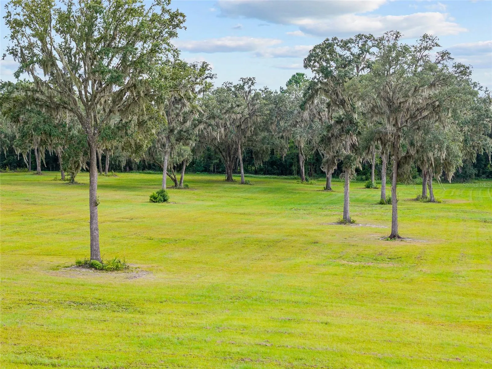 Reddick, Florida 32686, 0 , 0 ,0,Land,For Sale,316,0,OM648080