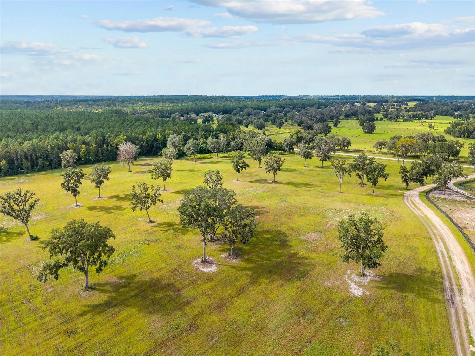 Reddick, Florida 32686, 0 , 0 ,0,Land,For Sale,316,0,OM648080