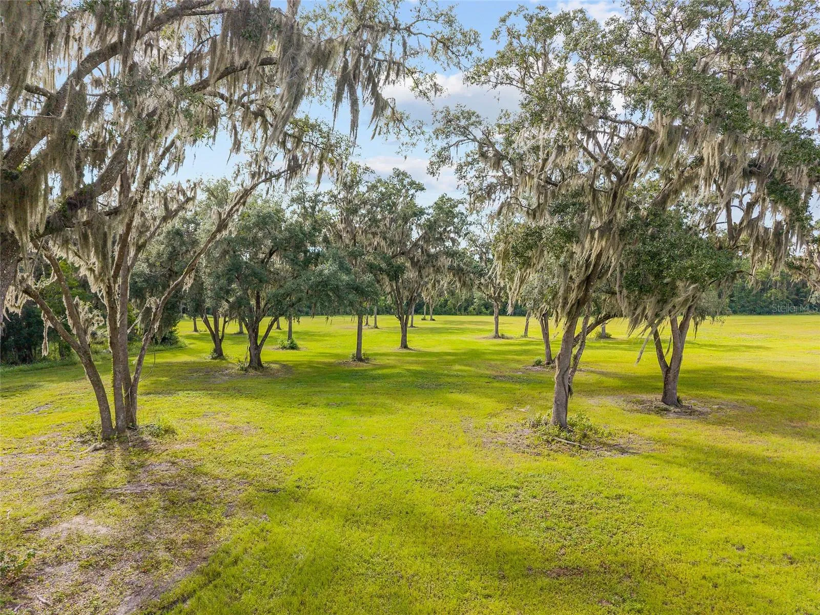 Reddick, Florida 32686, 0 , 0 ,0,Land,For Sale,316,0,OM648080