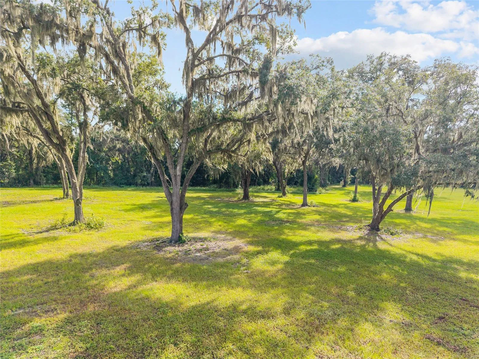 Reddick, Florida 32686, 0 , 0 ,0,Land,For Sale,316,0,OM648080