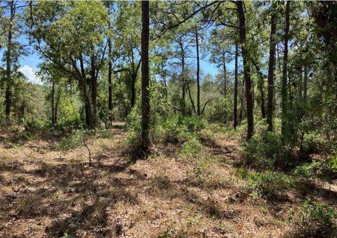 Land for sale on Birmingham Ave.