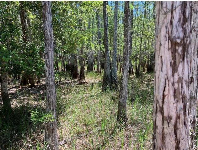 Birmingham Ave includes 7+ acres.
