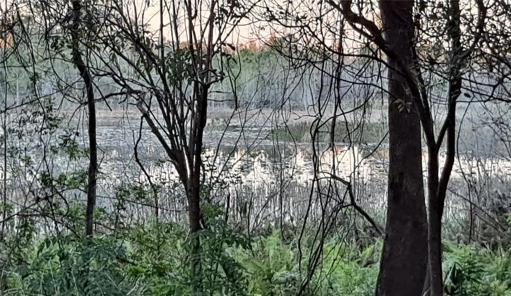 View of lake from property to Silver Lake.