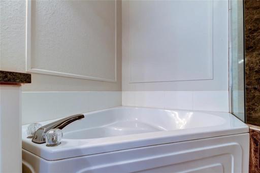 Primary Bathroom with Separate Shower and Tub