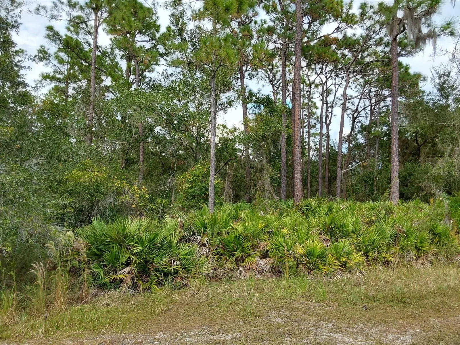 Lake Wales, Florida 33898, 0 , 0 ,0,Land,For Sale,SHORE,0,P4923324