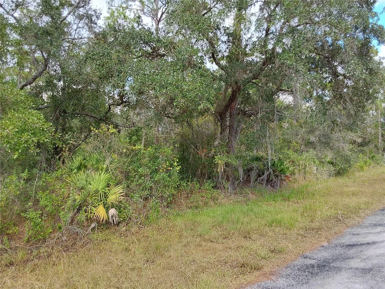 Lake Wales, Florida 33898, 0 , 0 ,0,Land,For Sale,SHORE,0,P4923324