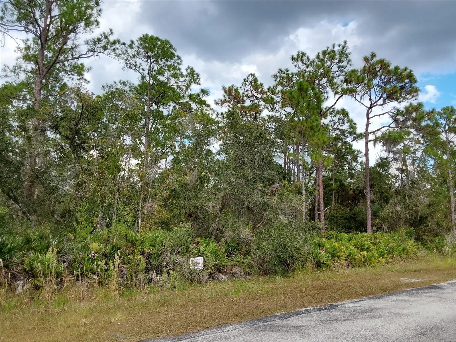 Lake Wales, Florida 33898, 0 , 0 ,0,Land,For Sale,SHORE,0,P4923324