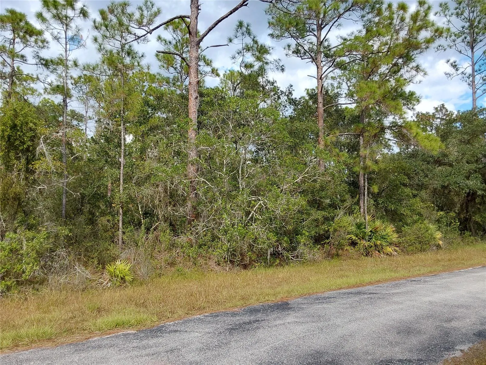 Lake Wales, Florida 33898, 0 , 0 ,0,Land,For Sale,SHORE,0,P4923324