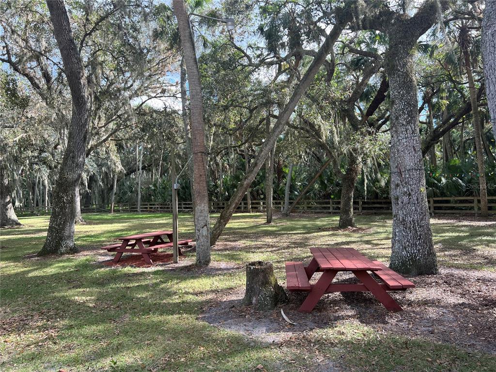 Picnic area