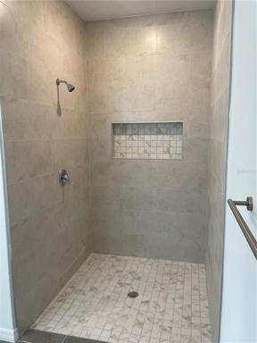 Master Bathroom Walk-In Shower