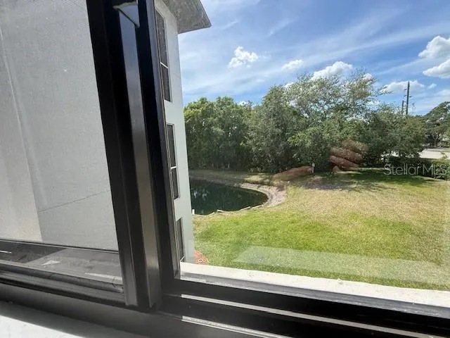 Kitchen window
