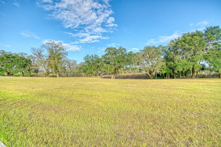 Pasture