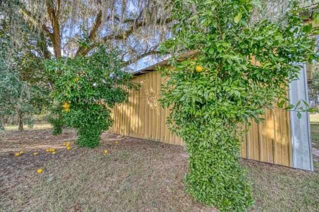 Hay barn and lemon trees