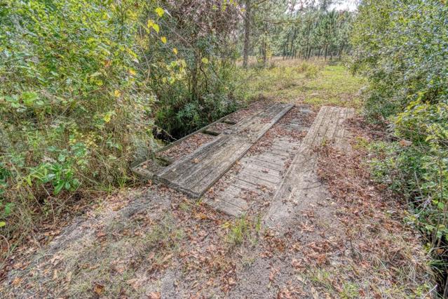 Bridge over creek