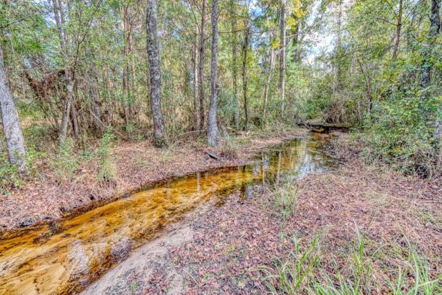 Creek