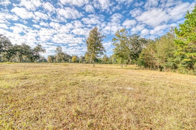 Natural wooded area for hunting