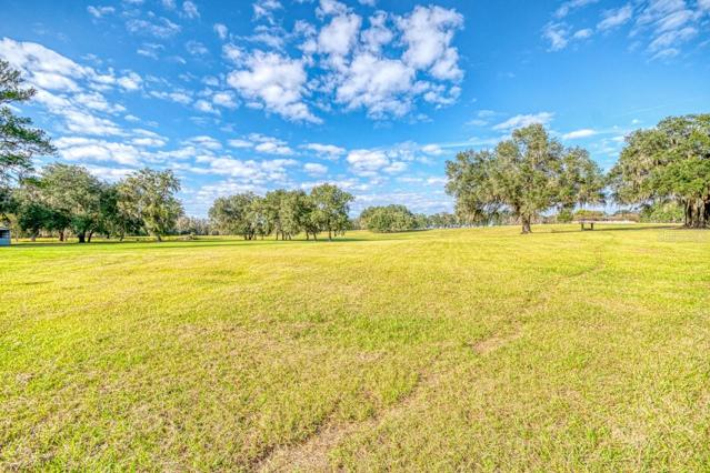Pasture