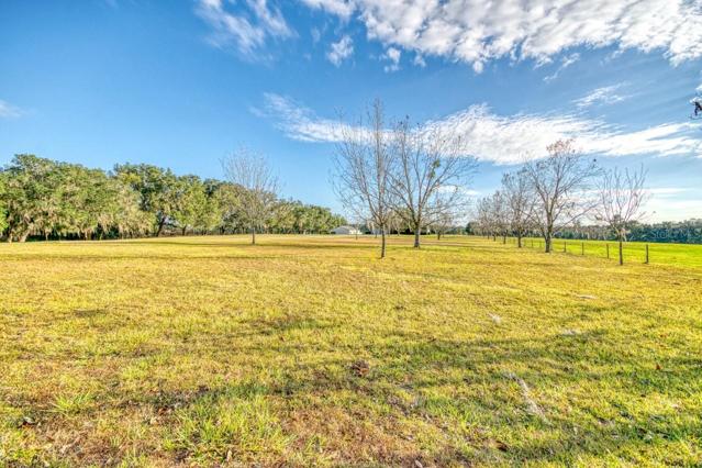 Front Pasture