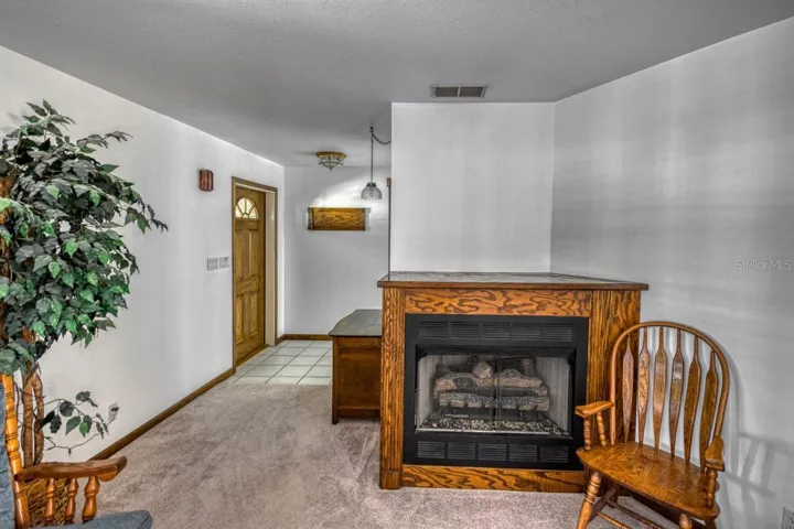Foyer/Living Room
