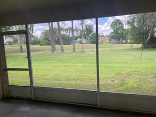 Backyard view