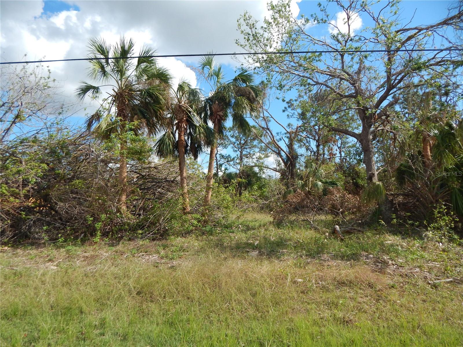 Port Charlotte, Florida 33953, 0 , 0 ,0,Land,For Sale,EPPINGER,0,C7468243