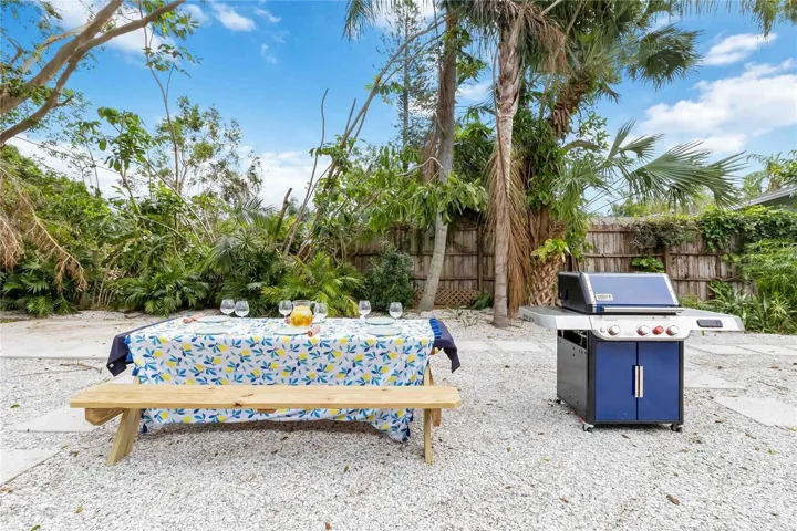 Picnic table and BBQ grill