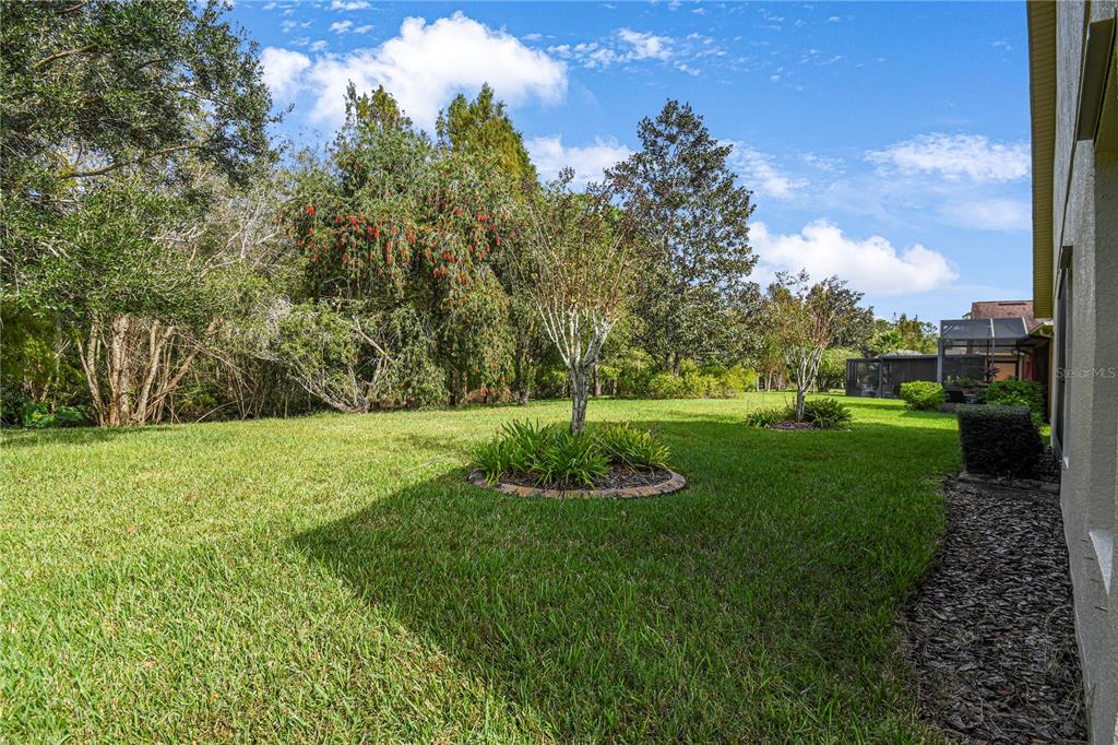 Lush Tree Lined Conservation