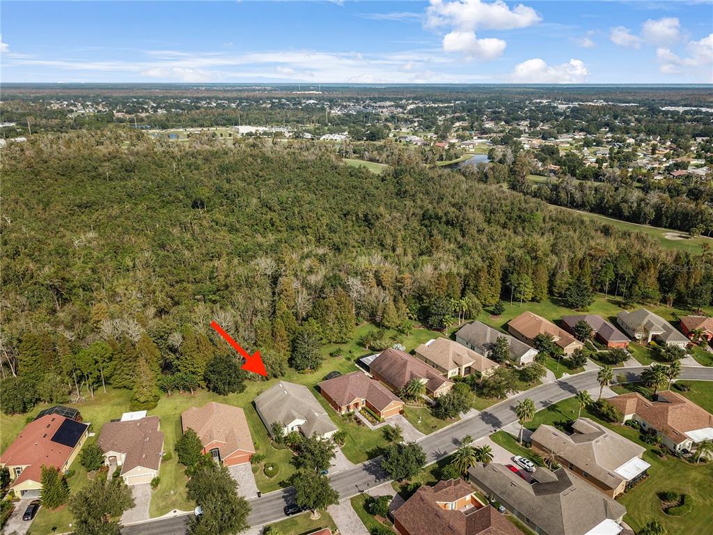 Great Conservation Lot