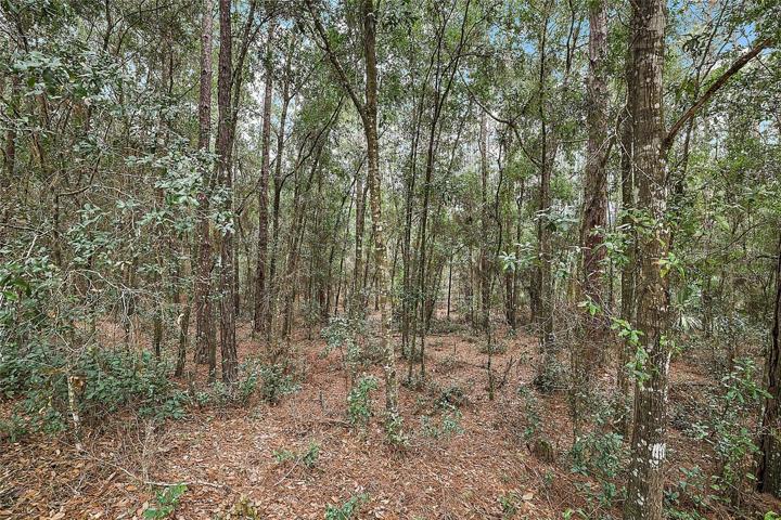 Vacant Land Area