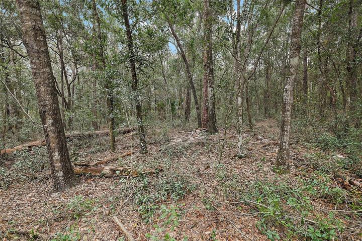 Vacant Land Area