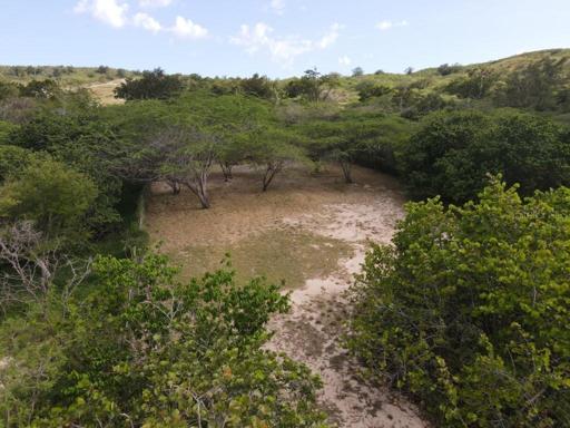 Beachfront Lot For Sale