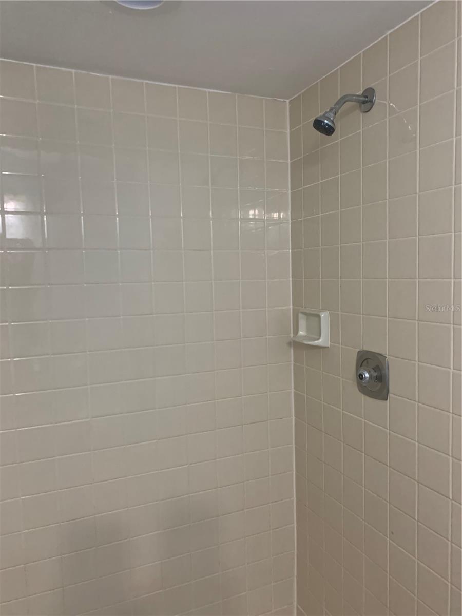 Walk in Shower Bathroom 1