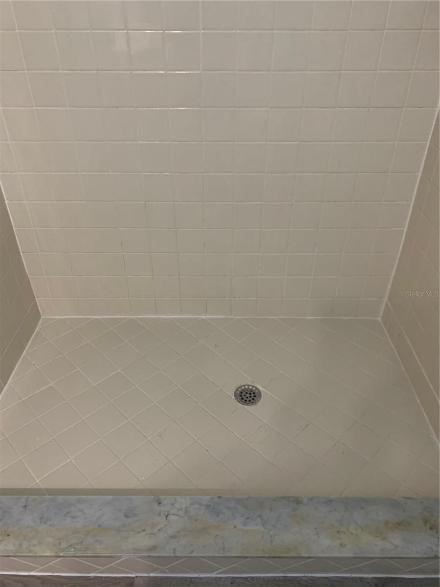 Walk in Shower Bathroom 1
