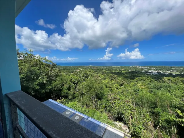 VIews From Covered Patio