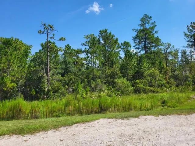 Orlando, Florida 32821, 0 , 0 ,0,Land,For Sale,S APOPKA VINELAND,0,O6075105