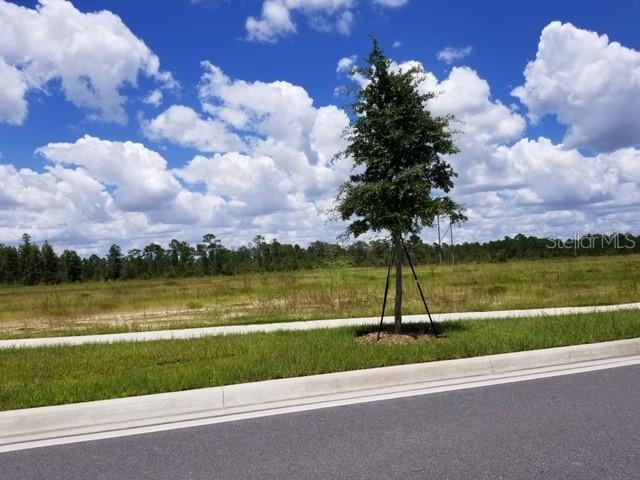 Orlando, Florida 32821, 0 , 0 ,0,Land,For Sale,S APOPKA VINELAND,0,O6075105