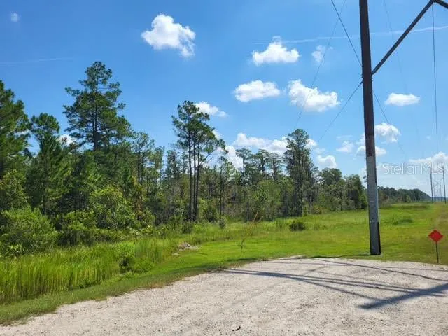Orlando, Florida 32821, 0 , 0 ,0,Land,For Sale,S APOPKA VINELAND,0,O6075105