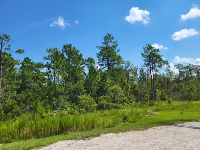 Orlando, Florida 32821, 0 , 0 ,0,Land,For Sale,S APOPKA VINELAND,0,O6075105