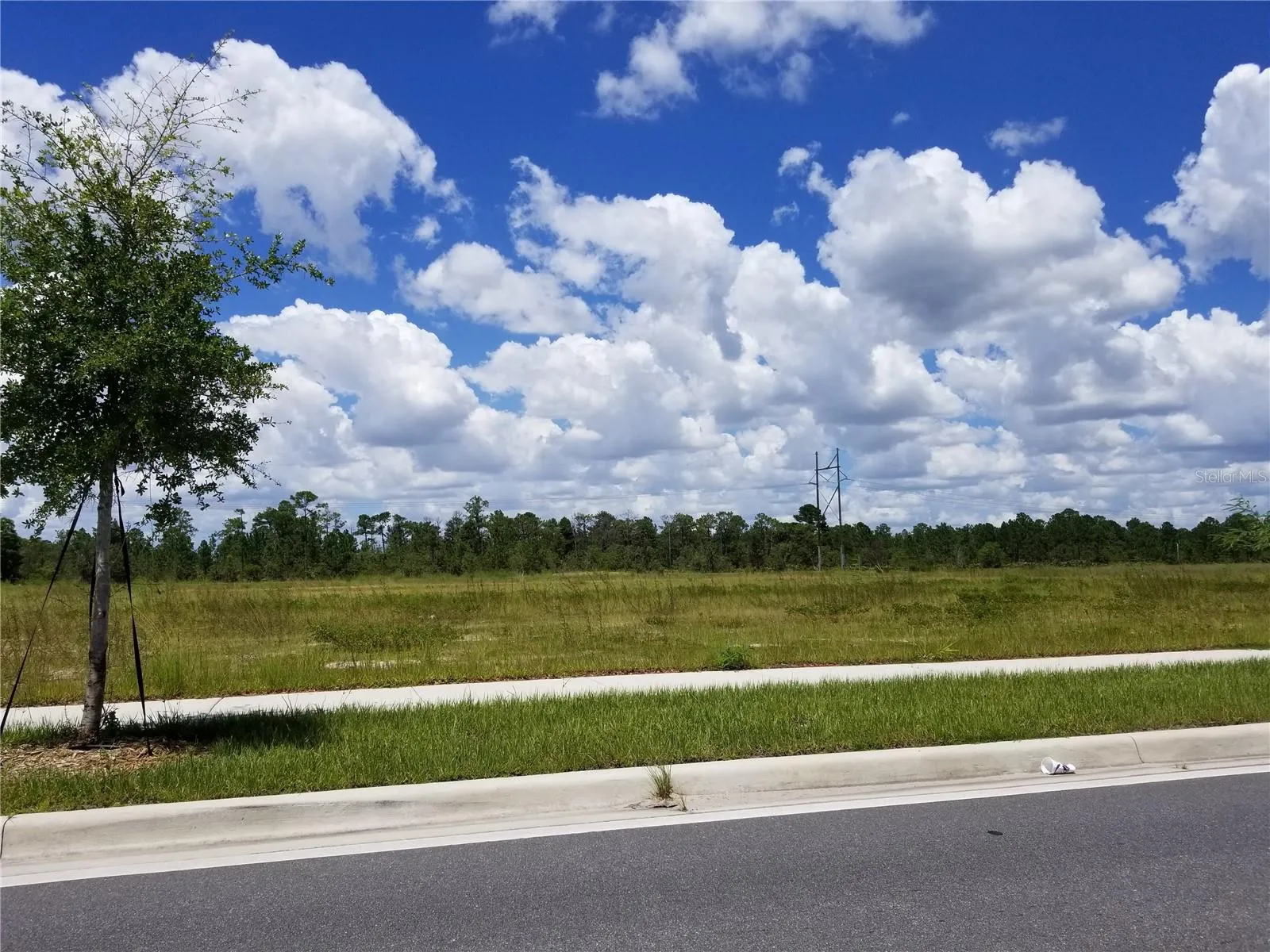 Orlando, Florida 32821, 0 , 0 ,0,Land,For Sale,S APOPKA VINELAND,0,O6075105