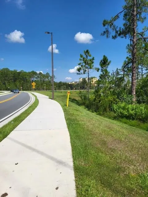 Orlando, Florida 32821, 0 , 0 ,0,Land,For Sale,S APOPKA VINELAND,0,O6075105