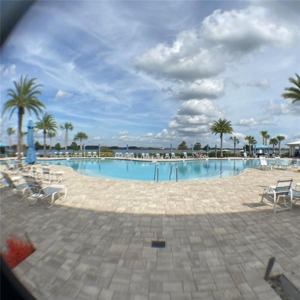 Lap Pool 1/3